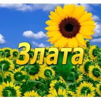 ZLATA