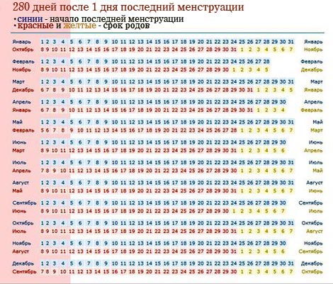 Сроки беременности