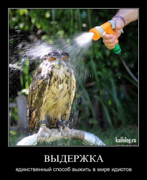 выдержка.jpg