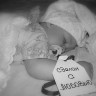 Фотоальбом 04.11.2013